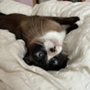 Meet your Posher, Amber